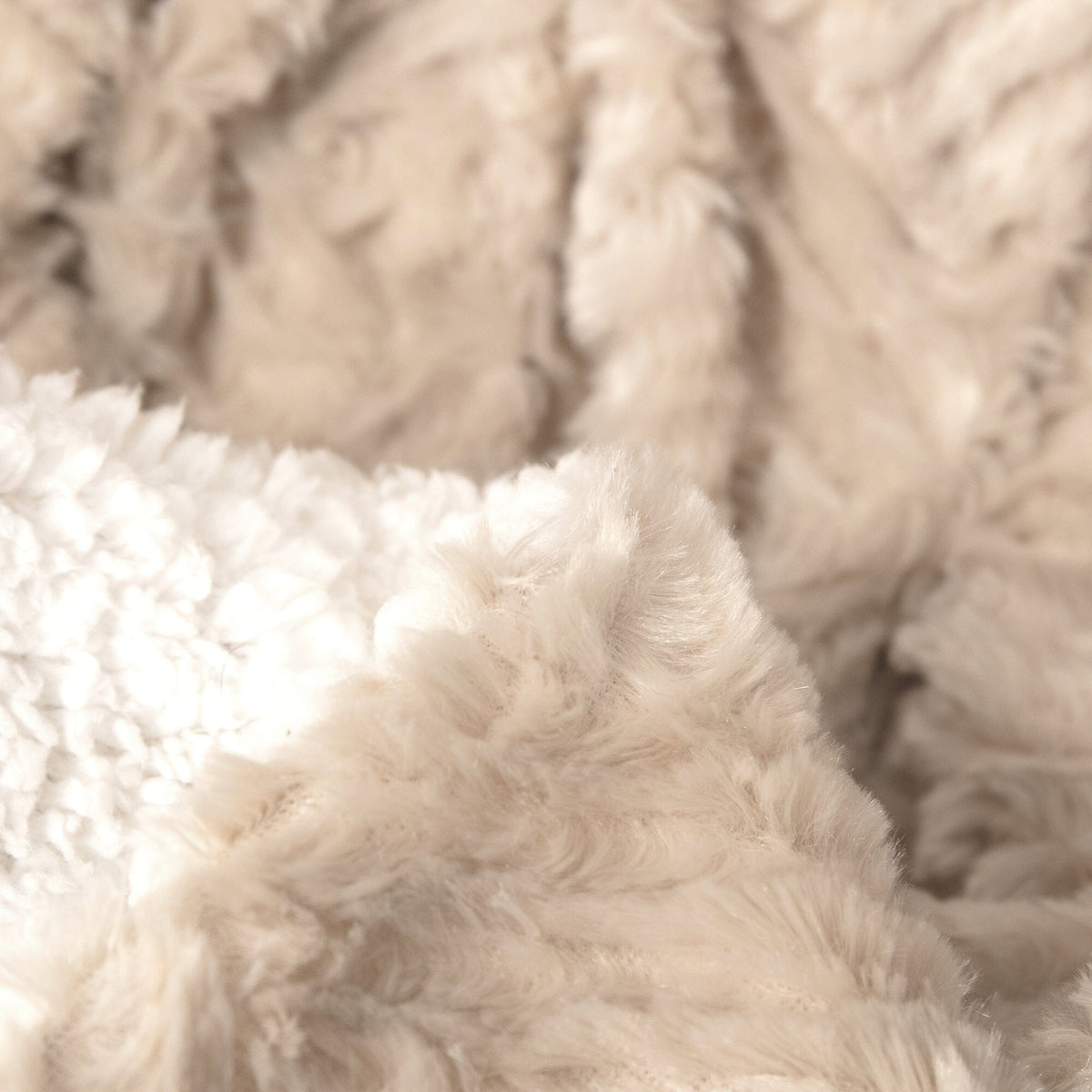 Champagne Haven Plush Throw