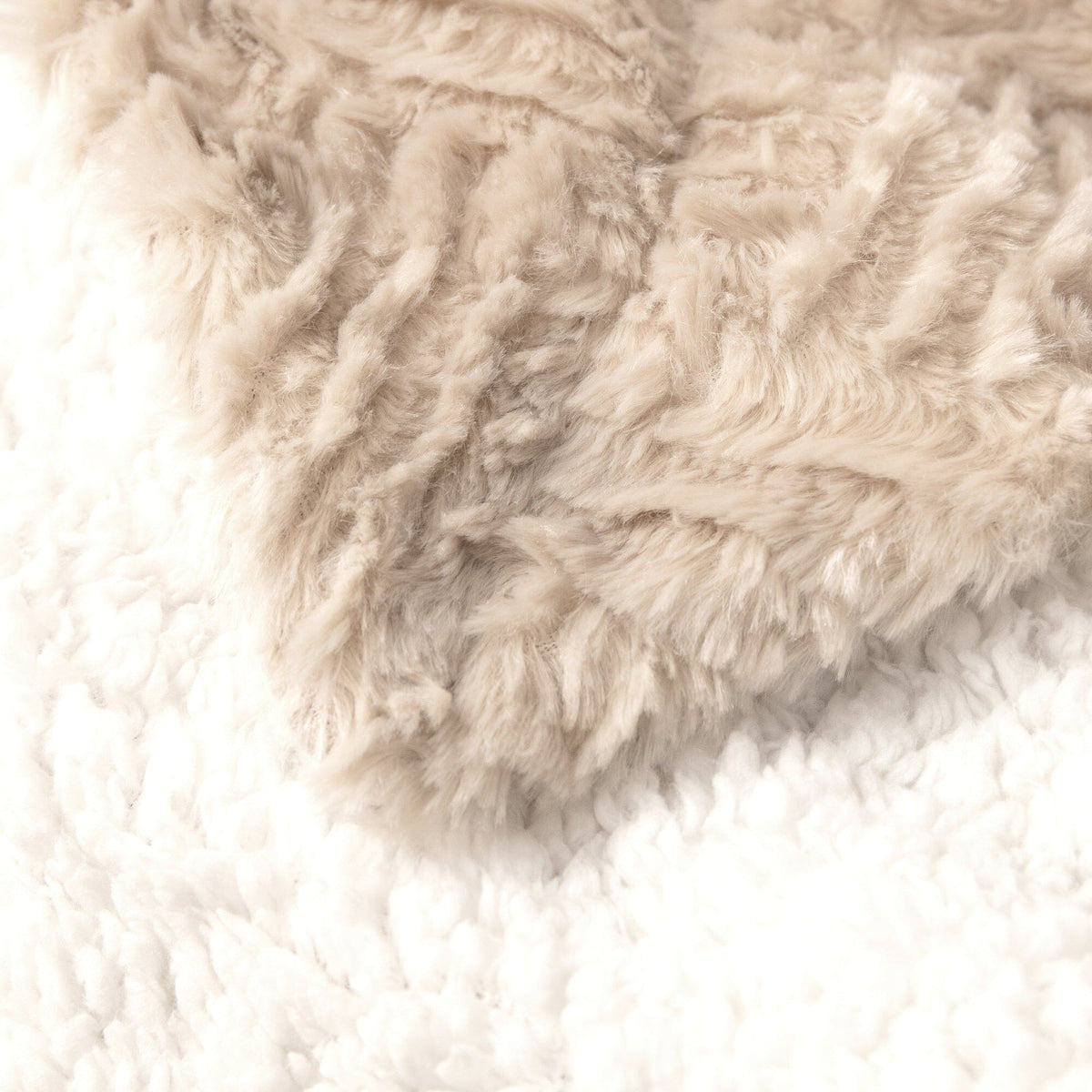 Champagne Haven Plush Throw