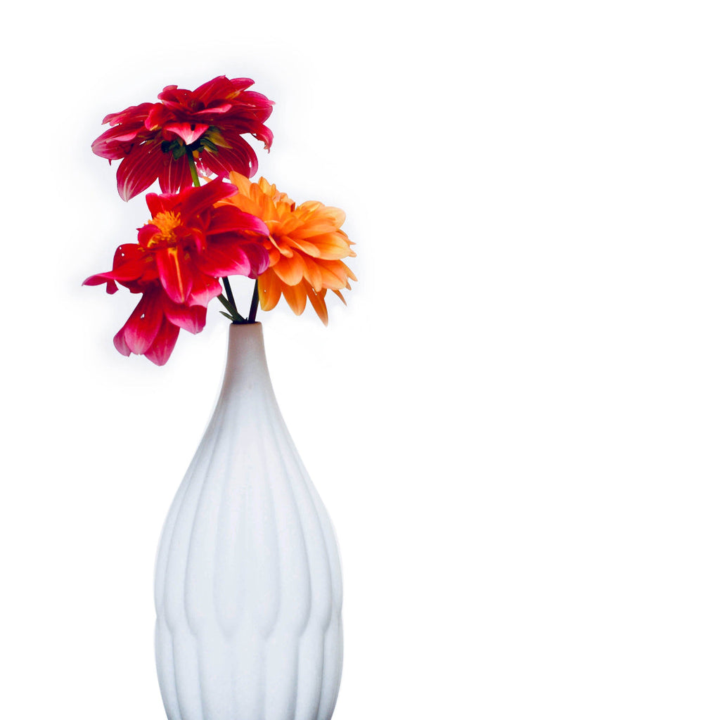 Meadow Sculpted Porcelain Vases — Set of 3