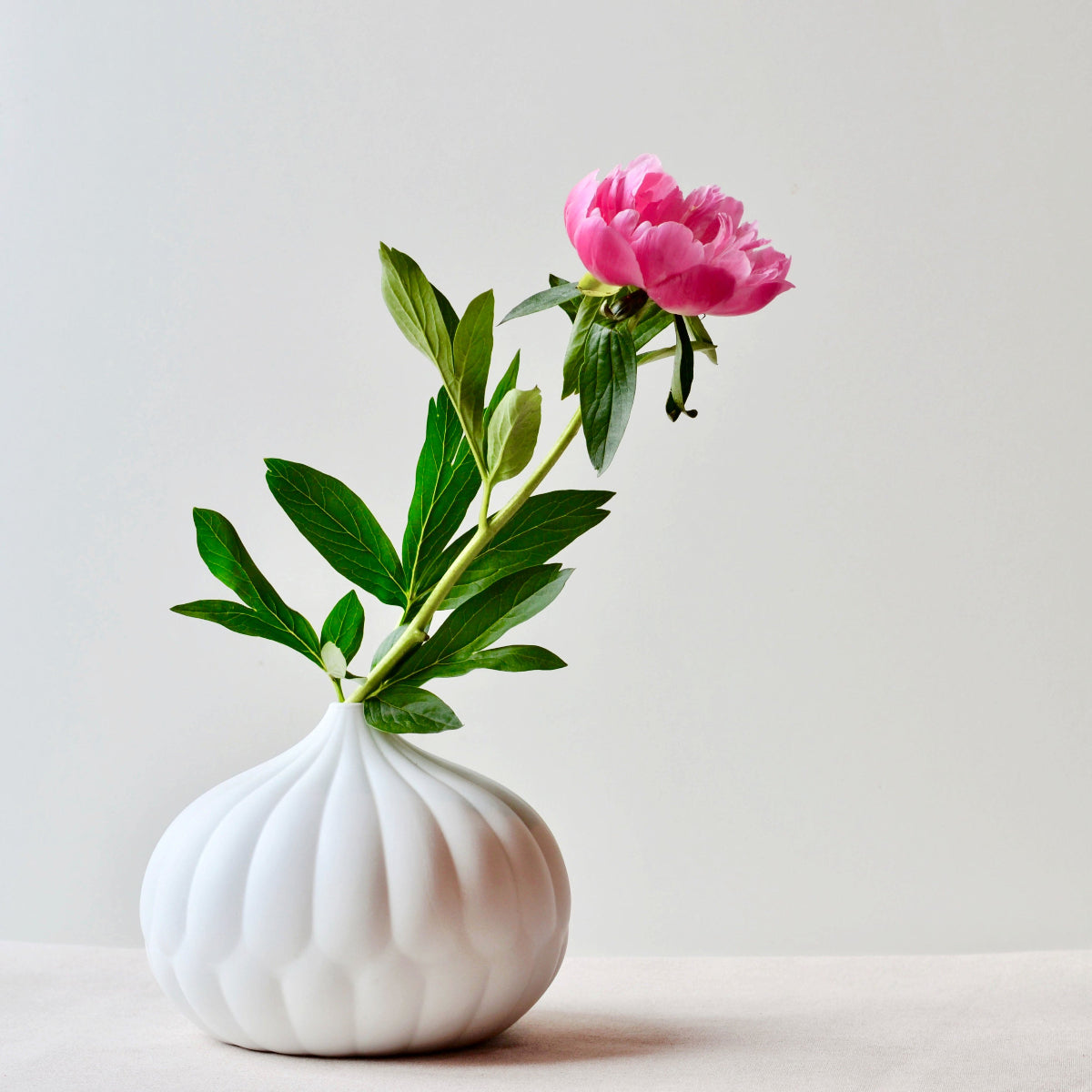 Meadow Sculpted Porcelain Vases — Set of 3